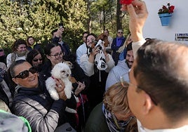 The blessing of pets during a previous San Antón event in Mijas.