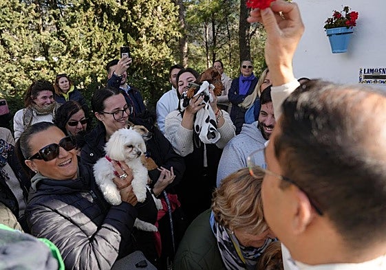 The blessing of pets during a previous San Antón event in Mijas.