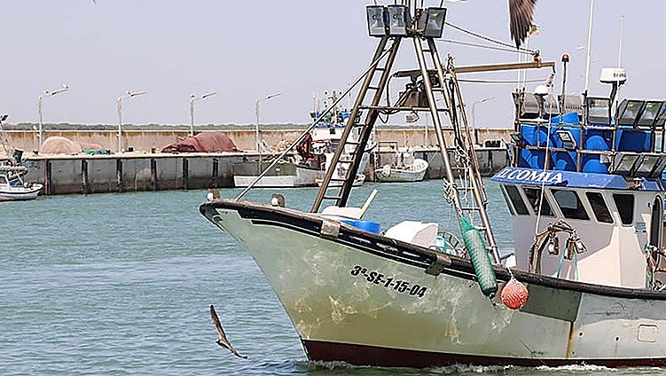 Andalusian fisheries sector welcomes agreement reached on EU controls