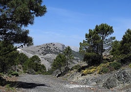 Sierra de las Nieves.