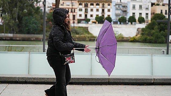 Andalucía's regional government activates pre-emergency phase for risk of flooding triggered by storm Ingrid