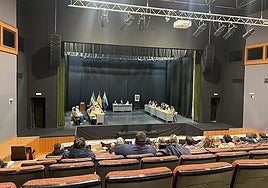 Monday's plenary session in Almuñécar.