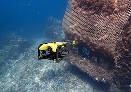 The project to install these micro-reefs includes regular scientific monitoring.