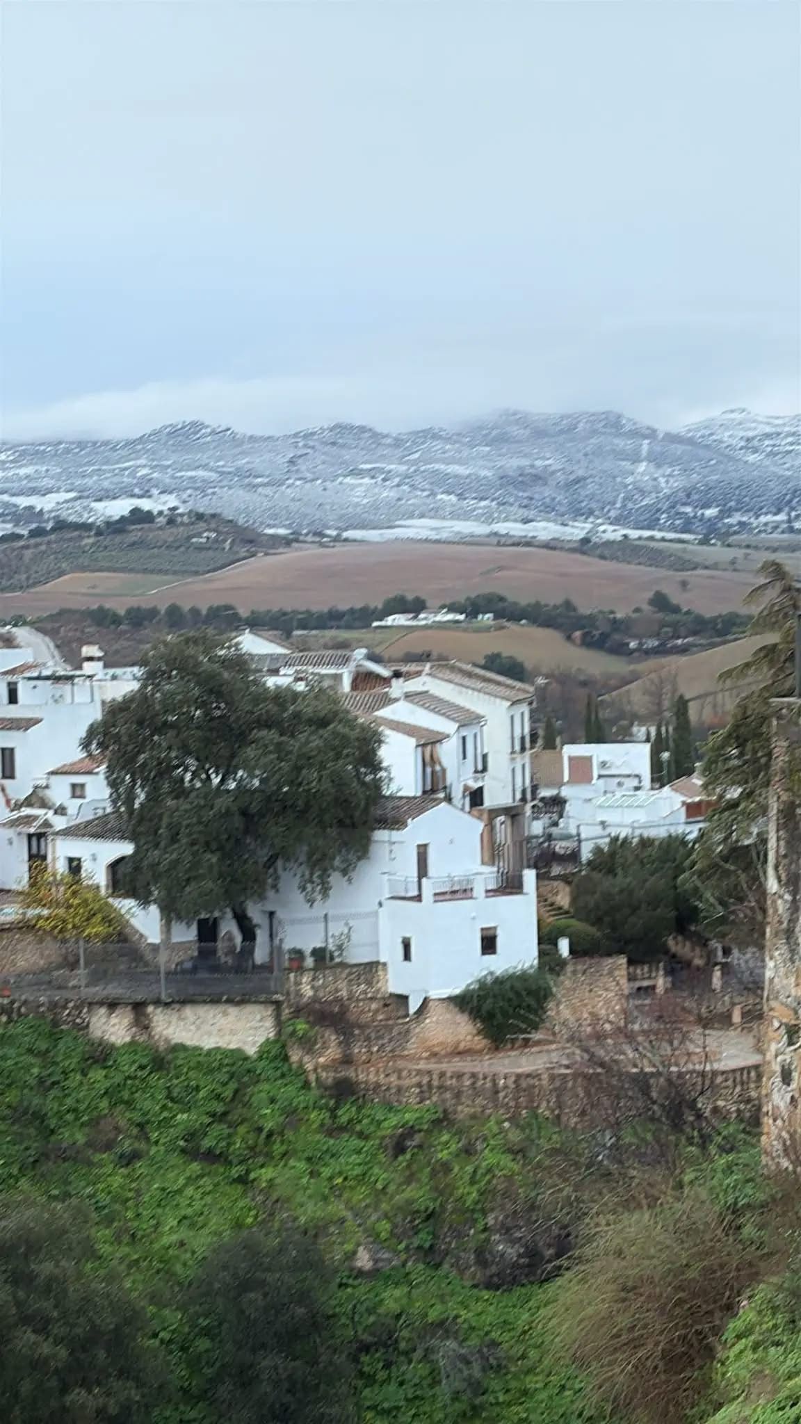 Snow near Ronda.