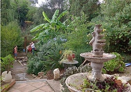 Members open up their gardens for afternoon visits.