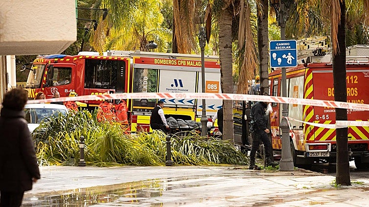 Torremolinos fatal accident: Victim's fight for residency cut short by falling tree
