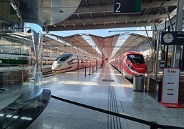 High-speed trains have been stationed for days at the María Zambrano station in Malaga.