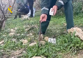 Malaga province fights animal abuse with 125 animals rescued and 66 suspects