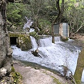 Spectacular springs and waterfalls worth visiting in Malaga after the recent rains