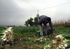 Residency to be granted to 500,000 undocumented migrants in Spain