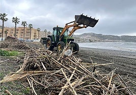 Cleanup operation on a beach in Almuñécar