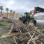 Cleanup operation on a beach in Almuñécar