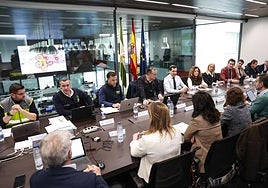 The emergency comittee meeting in Seville on Tuesday.