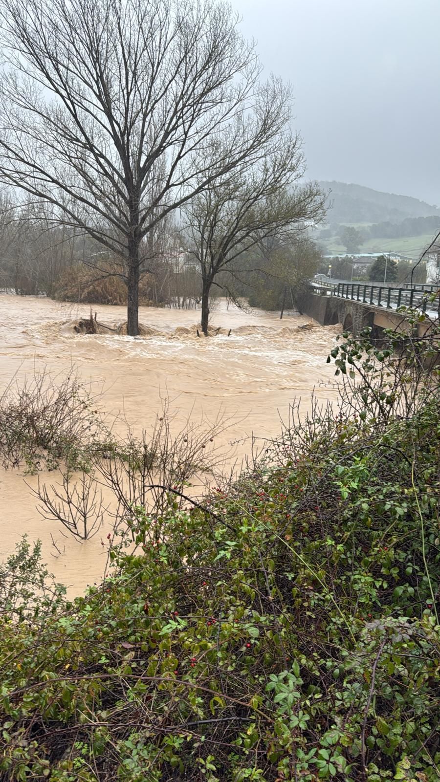 Cortes de la Frontera.