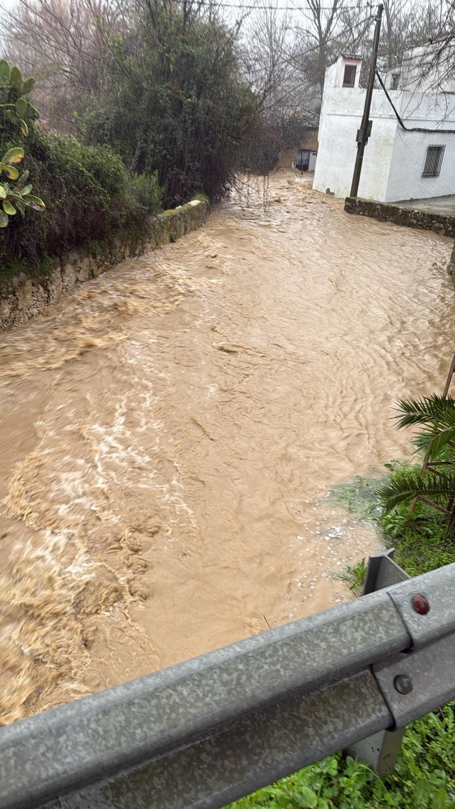 Cortes de la Frontera.