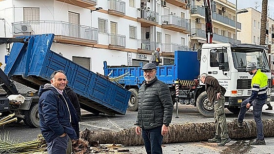 Palm trees felled in Salobreña as more storms forecast