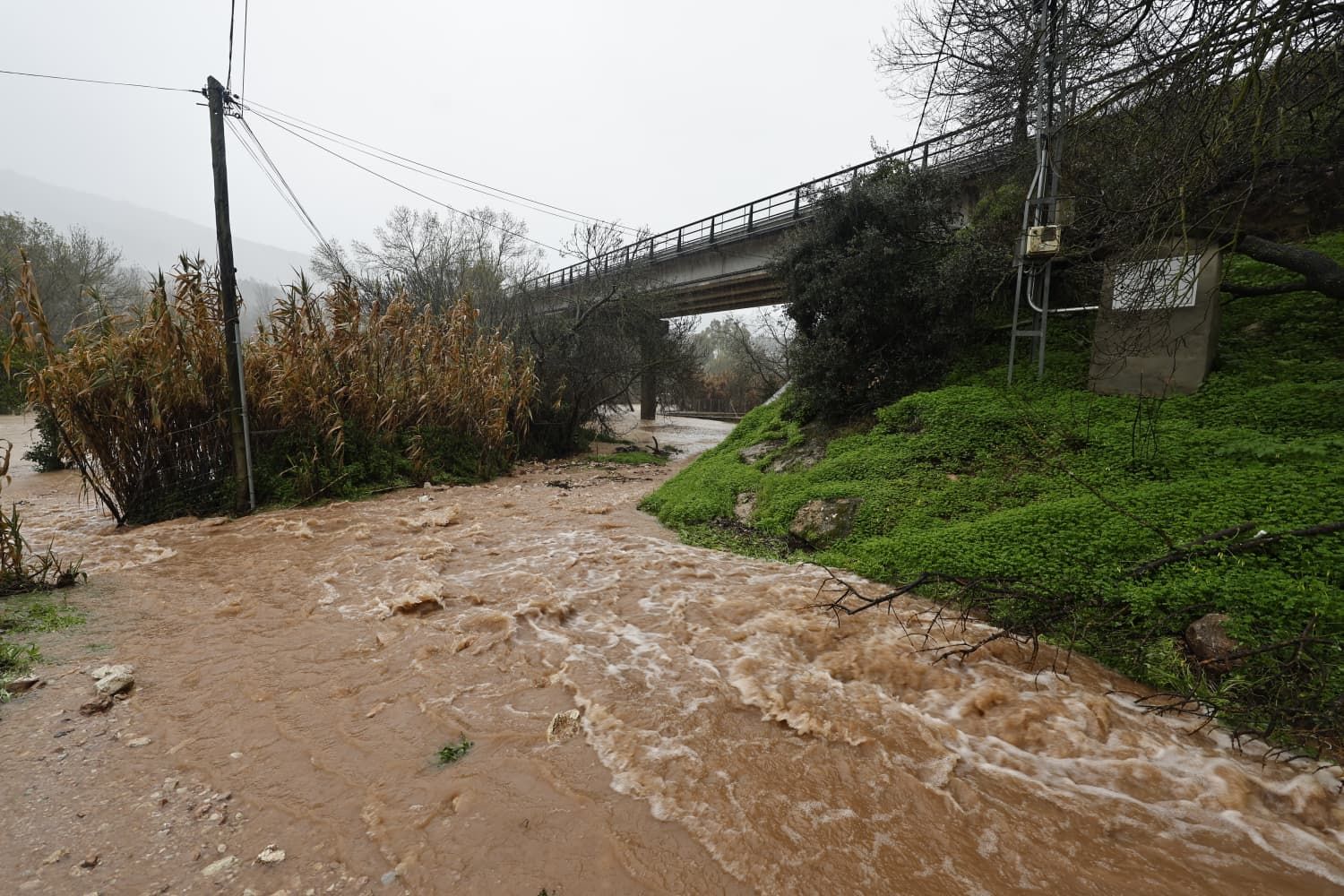 Images taken in Benaoján and Jimera de Líbar on Wednesday morning.