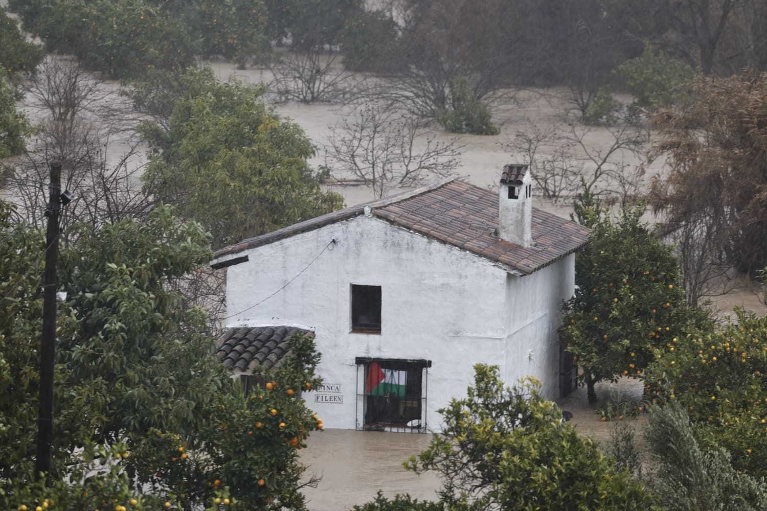 Images taken in Benaoján and Jimera de Líbar on Wednesday morning.