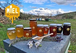 Malaga honey awarded EU protection: where to buy the province’s best varieties