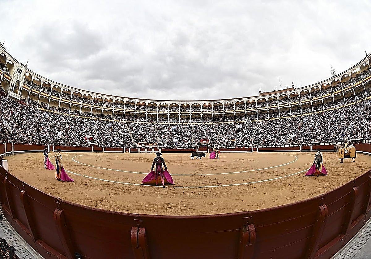 UN urges Spain to ban children from bullfights to protect them from 'extreme violence'