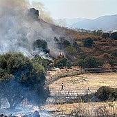 A forest fire that broke out in Mijas last summer.