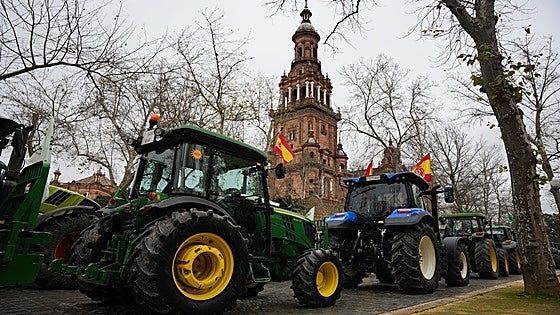 Spanish farmers mobilise against EU-Mercosur trade deal amid mixed political support