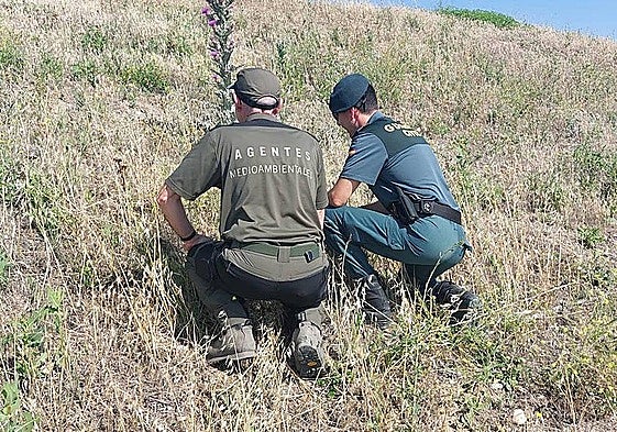 Archive photo of an environmental officer and a Guardia Civil officer