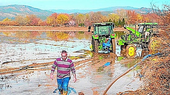 Granada's asparagus season starts with 350 hectares of flooded land