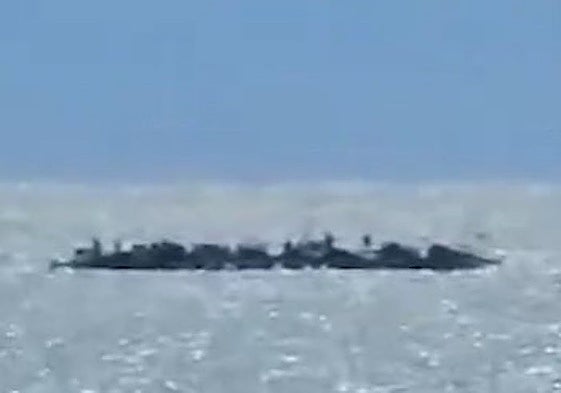 Archive image of a dozen drug-running boats ('narcolanchas') off the Sabinillas coast in 2024.