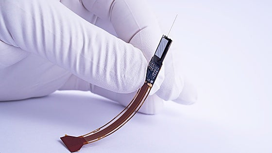 Malaga's future IMEC hub will develop platinum chips for DNA sequencing and brain 'neuropixels'