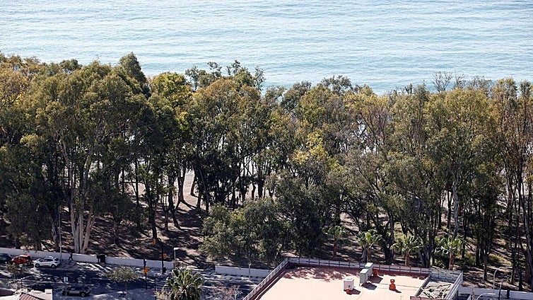 Malaga environment: new contract to maintain 2.6 million square metres of green spaces