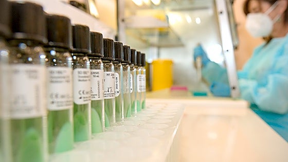 Malaga paediatricians urge parents to complete two-dose vaccination cycle