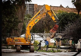 Work on the third hospital in Malaga has begun with the adaptation of the provisional car park.