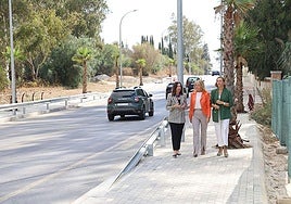 Junta gives green light to Marbella's new town masterplan