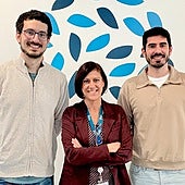 Malaga researchers develop 'smart sponge' technique to diagnose amoxicillin allergy