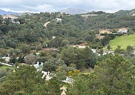 Panoramic view of the facilities of the equestrian centre.
