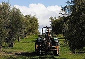 Iran war threatens Malaga farmers with increasing costs
