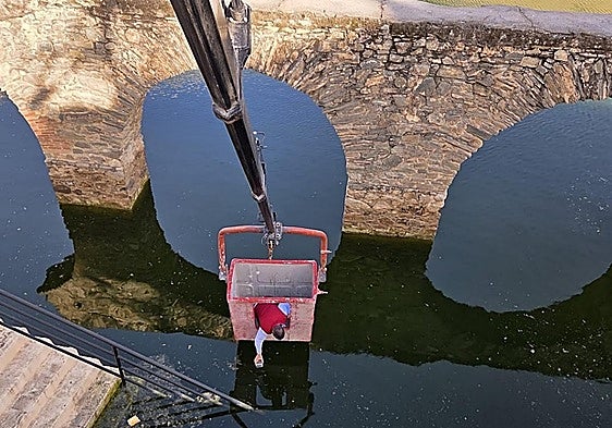 Almuñécar launches mosquito control programme to combat West Nile Fever