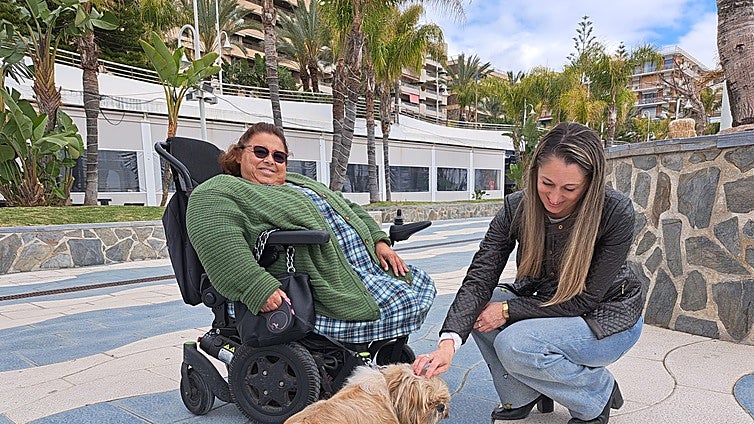 New pet ownership regulations and dog leash laws in Almuñécar: a guide to fines and compliance