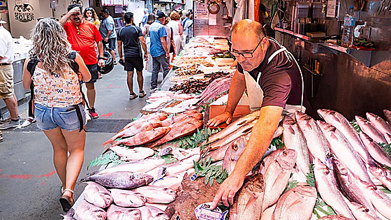 Malaga grocery prices surge 3.9% year-on-year ahead of Iran war fuel spike