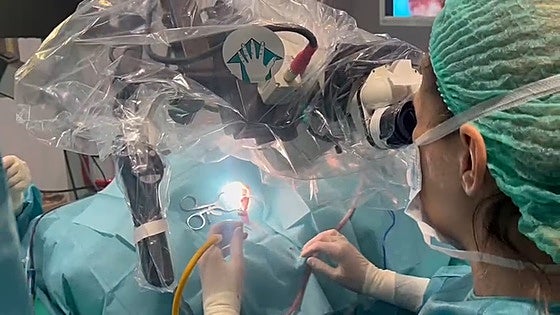 Malaga hospital saves 20 patients per year from profound hearing loss