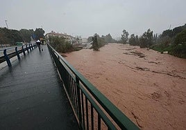 This year's rains and stagnant water have led to an increase in the number of insects.