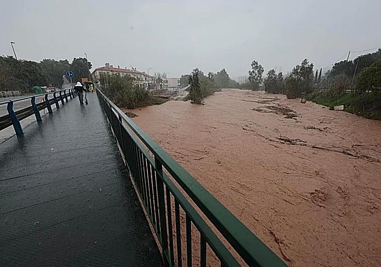 Malaga city extends anti-mosquito proliferation measures to prevent spread of West Nile virus