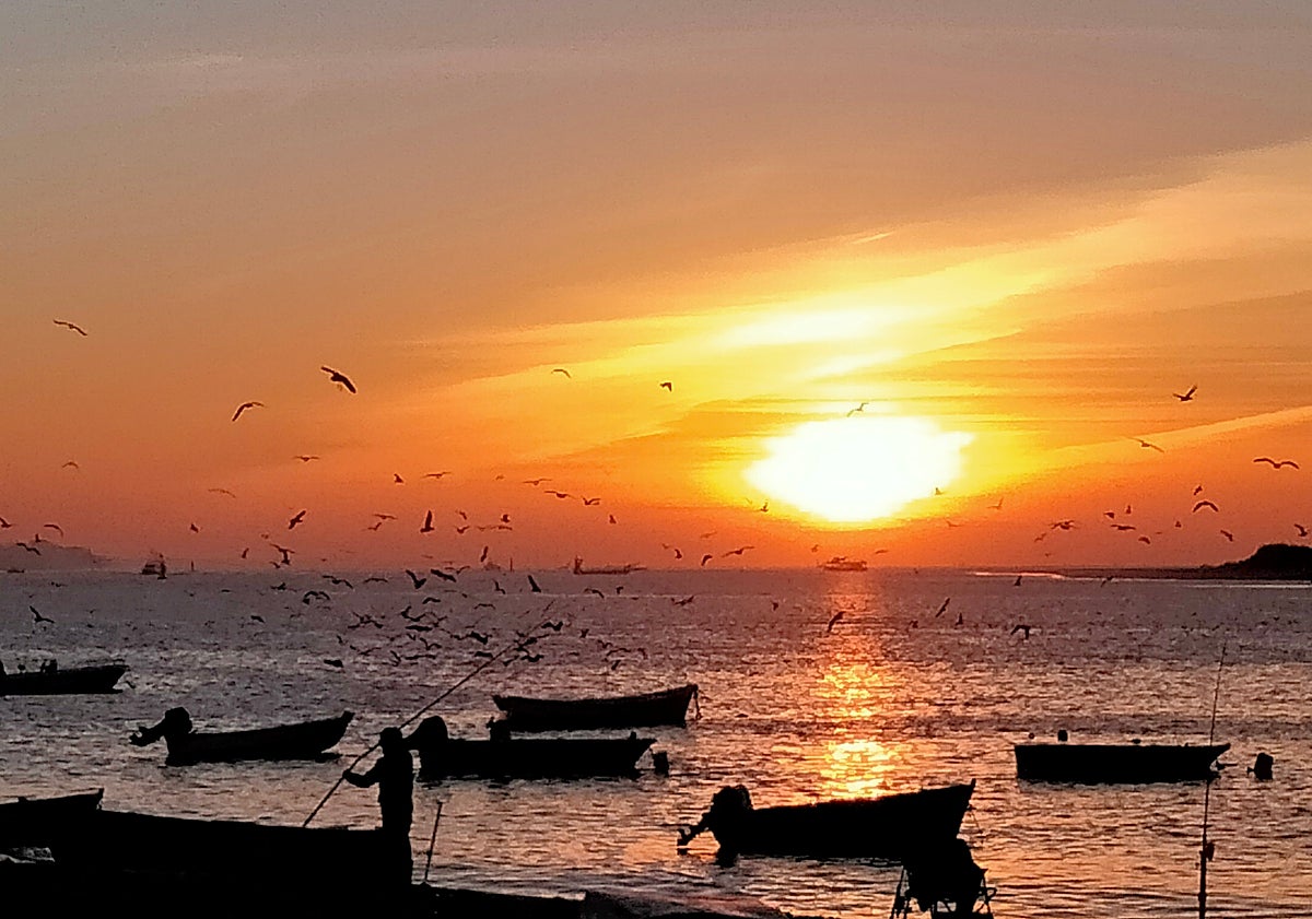 Imagen principal - Views in the area at different times of the day.