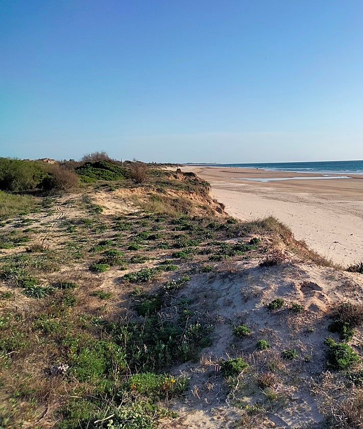 Imagen secundaria 2 - Views in the area at different times of the day.