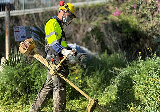 Various actions are being carried out by a team of forestry workers.