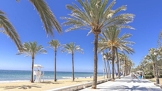 Marketing Marbella: an intense promotion schedule in Spain and overseas until summer