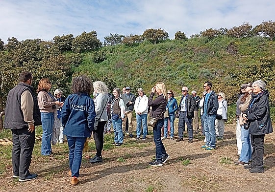 The group at the organic avocado plantation