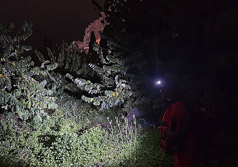 Man attacks son-in-law with a hammer in Almuñécar before killing himself