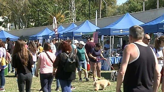 Fuengirola to host 15th canine day event in support of charity programme